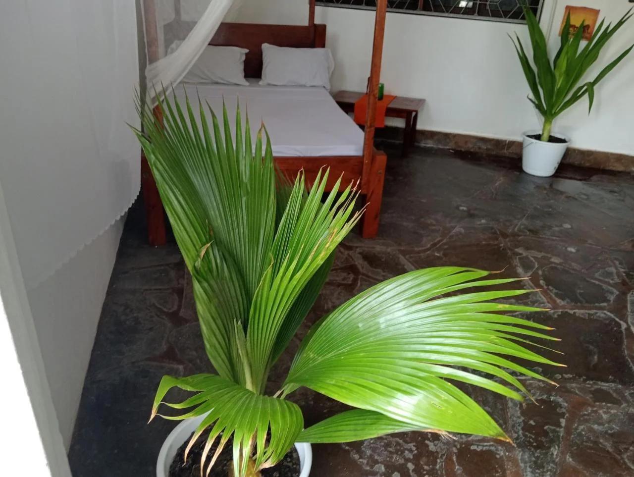 Bella Casa Malindi Casuarina photo