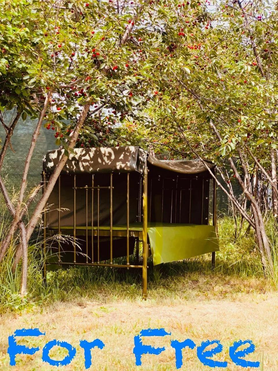 Hippo camp Karakol photo