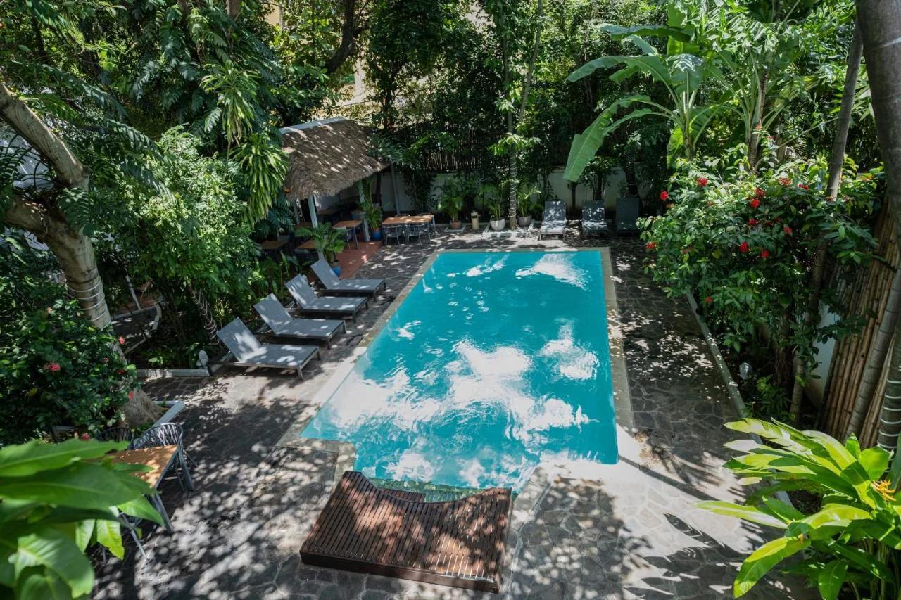 Jungle Addition photo