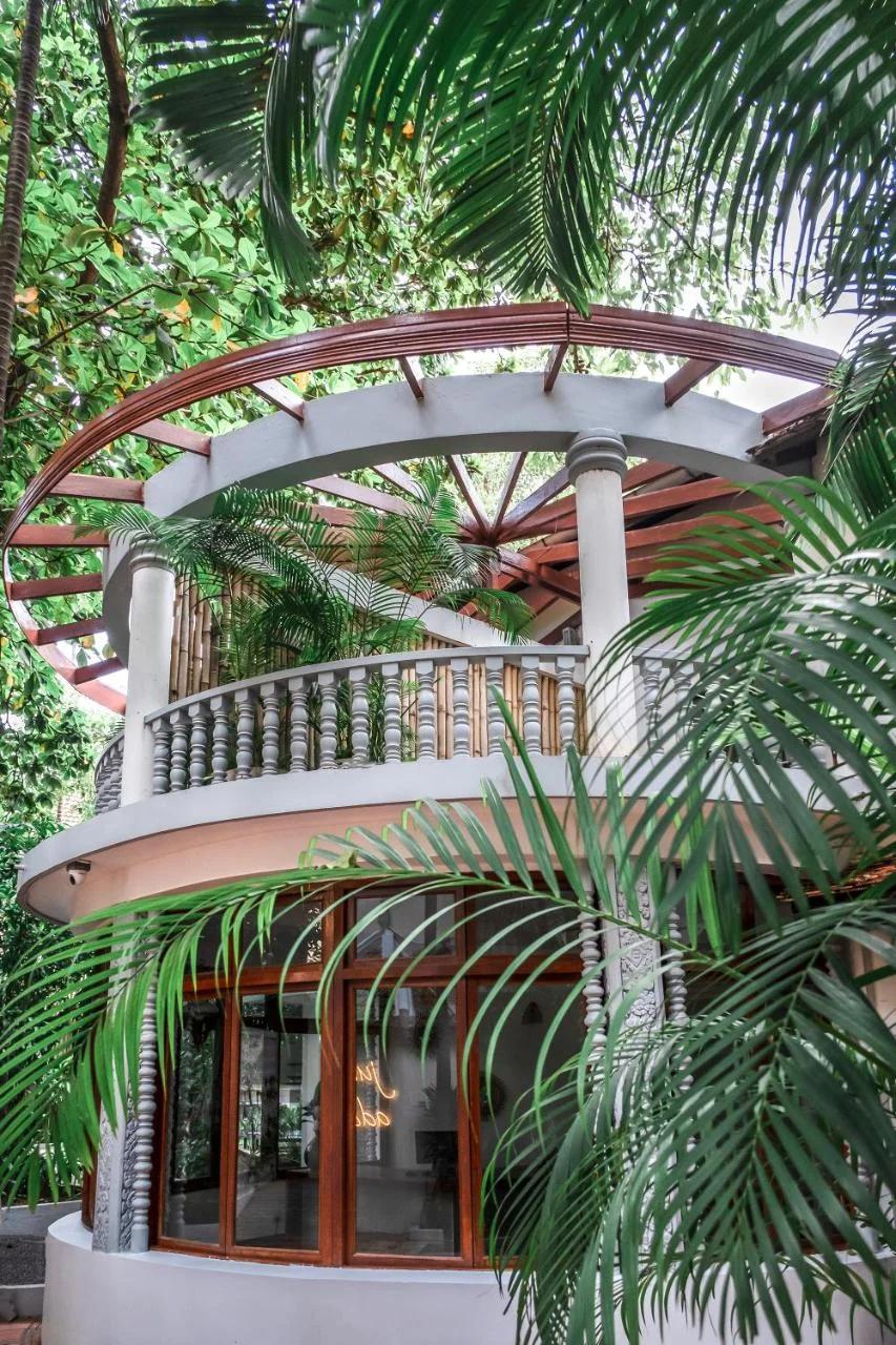 Jungle Addition photo