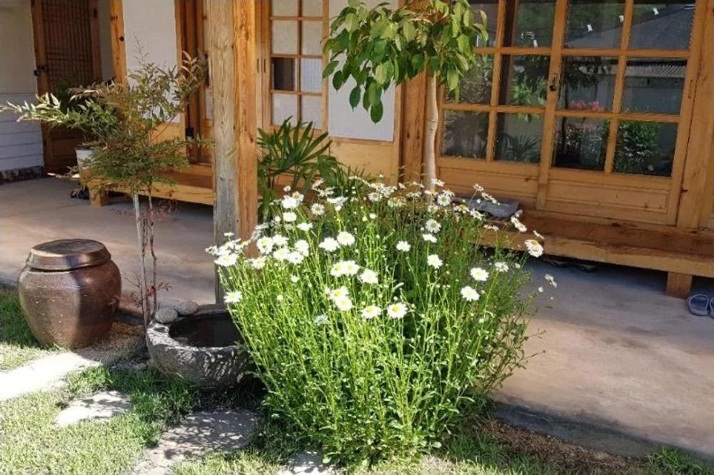 Jeonju Hanok-an hanok an Pension photo