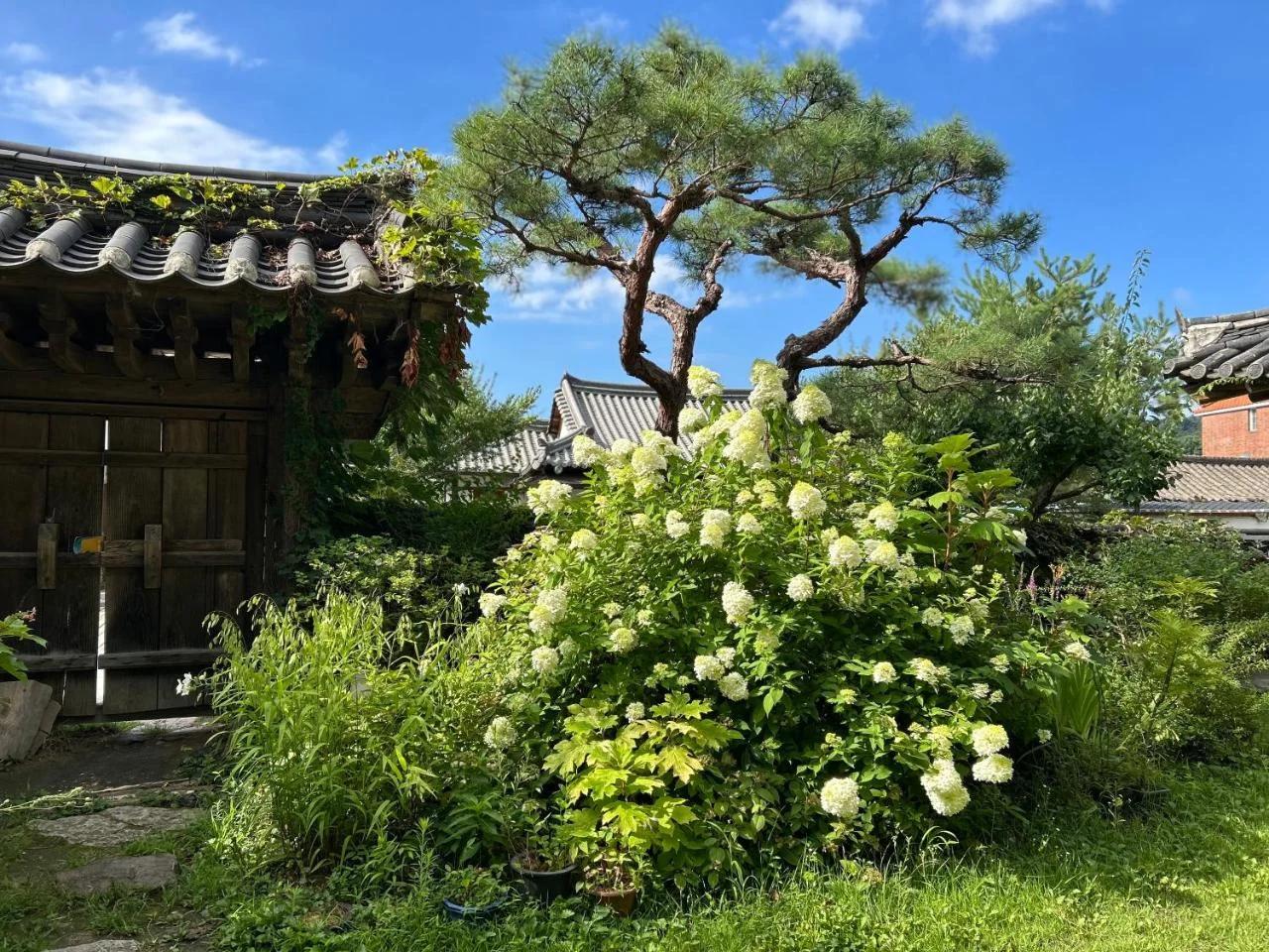 Yangsajae foto