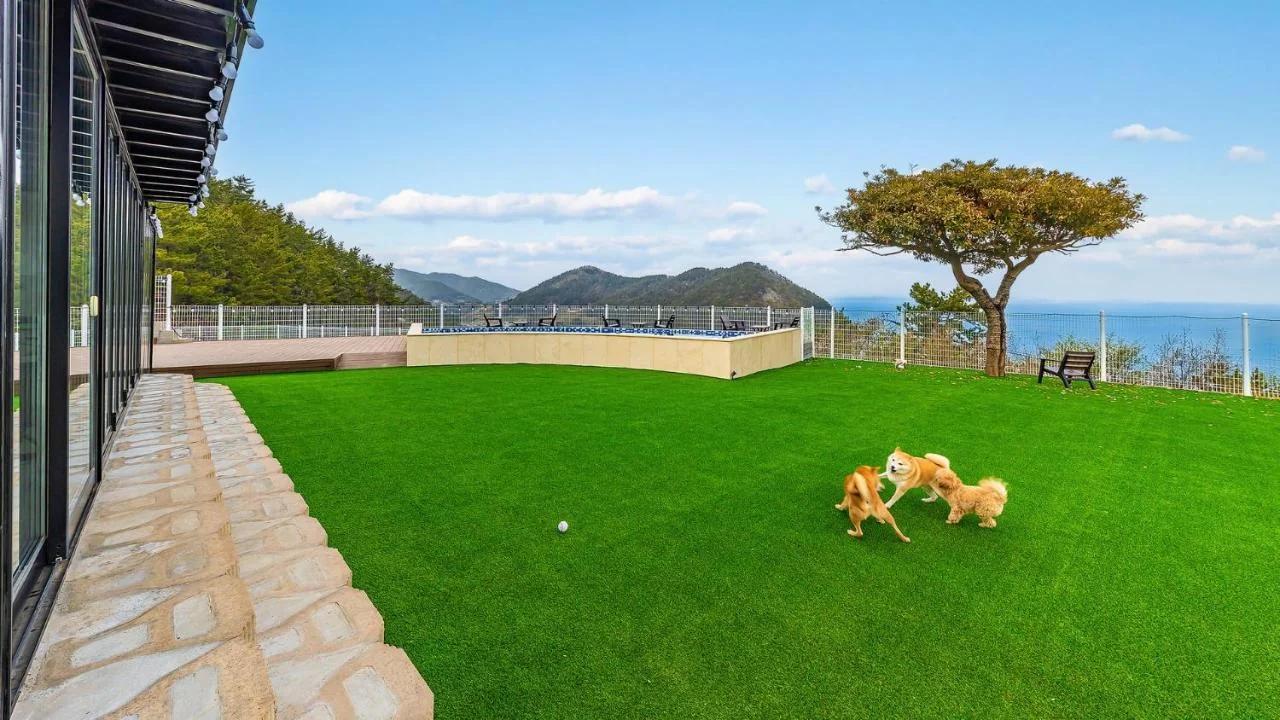 yeosu seuteimeong foto