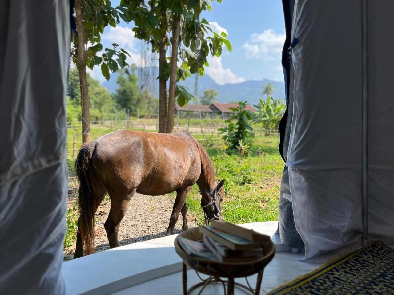 NamKhan Horse Stable foto