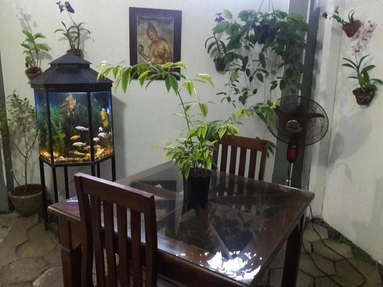 Aayu's Guest photo