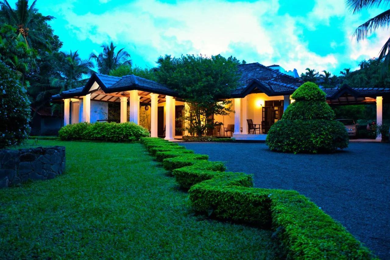 Camellia Dwelling foto
