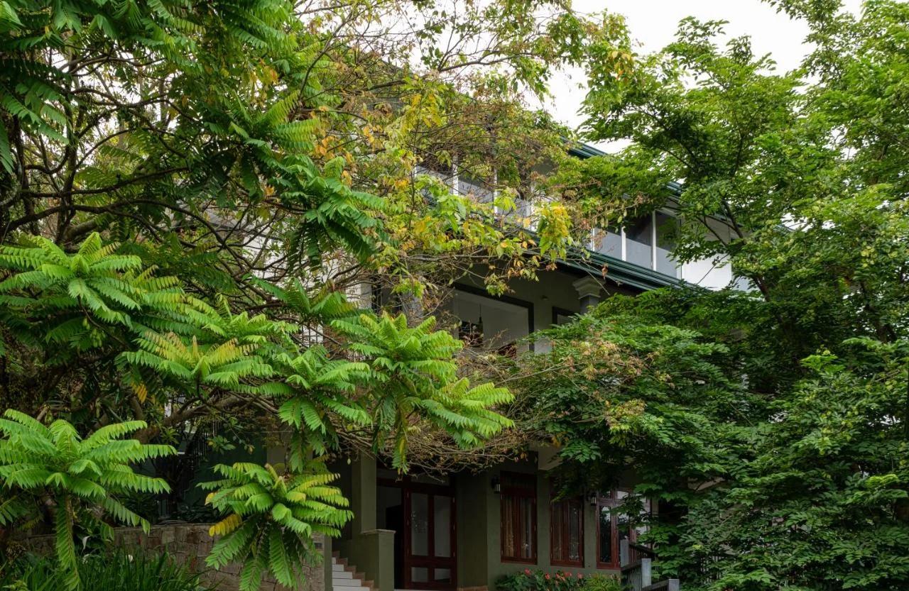 Kandy Tree Tops photo