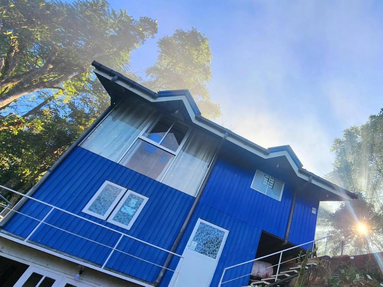 Kithul Cottage photo