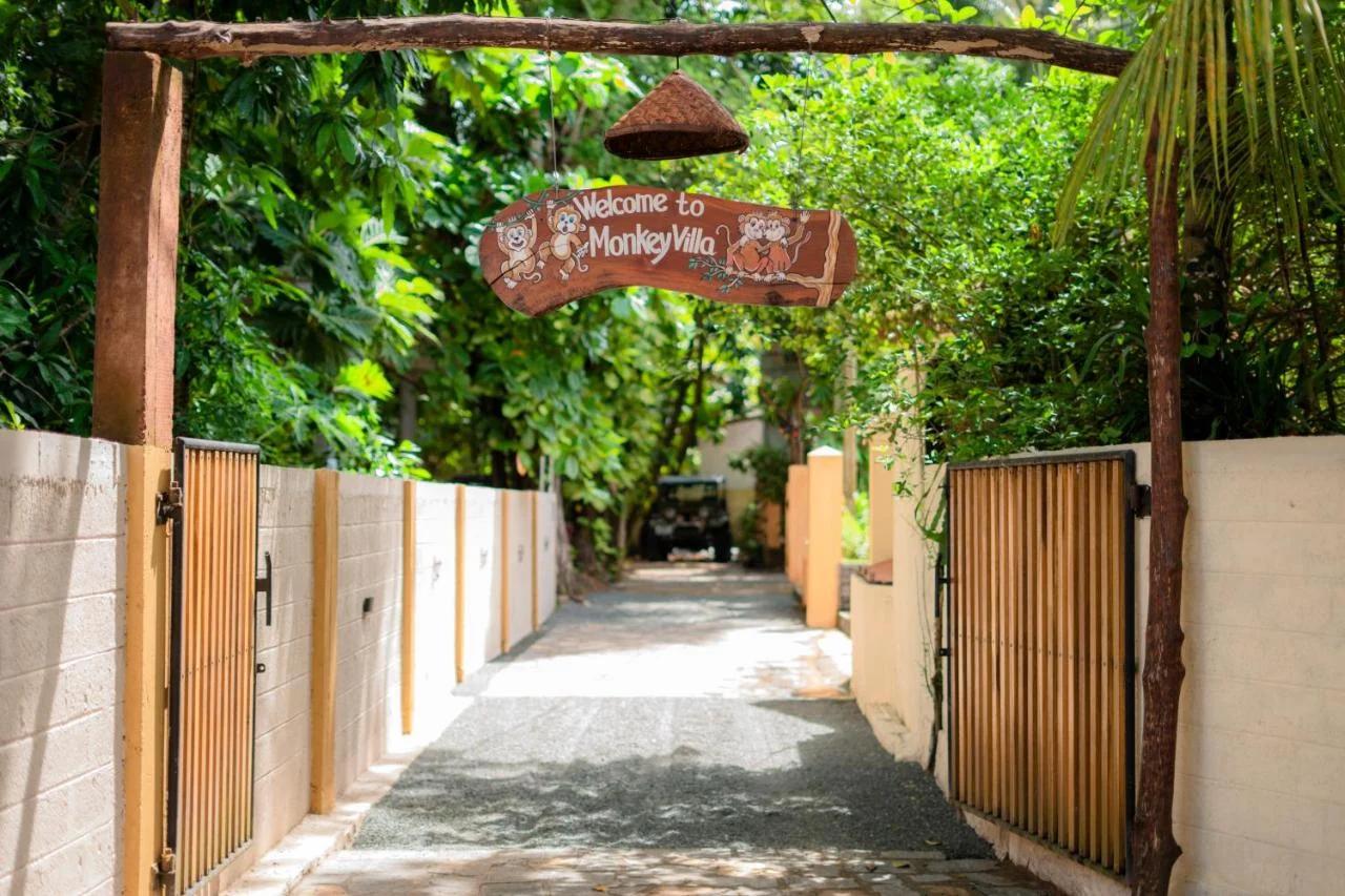 Monkey villa photo