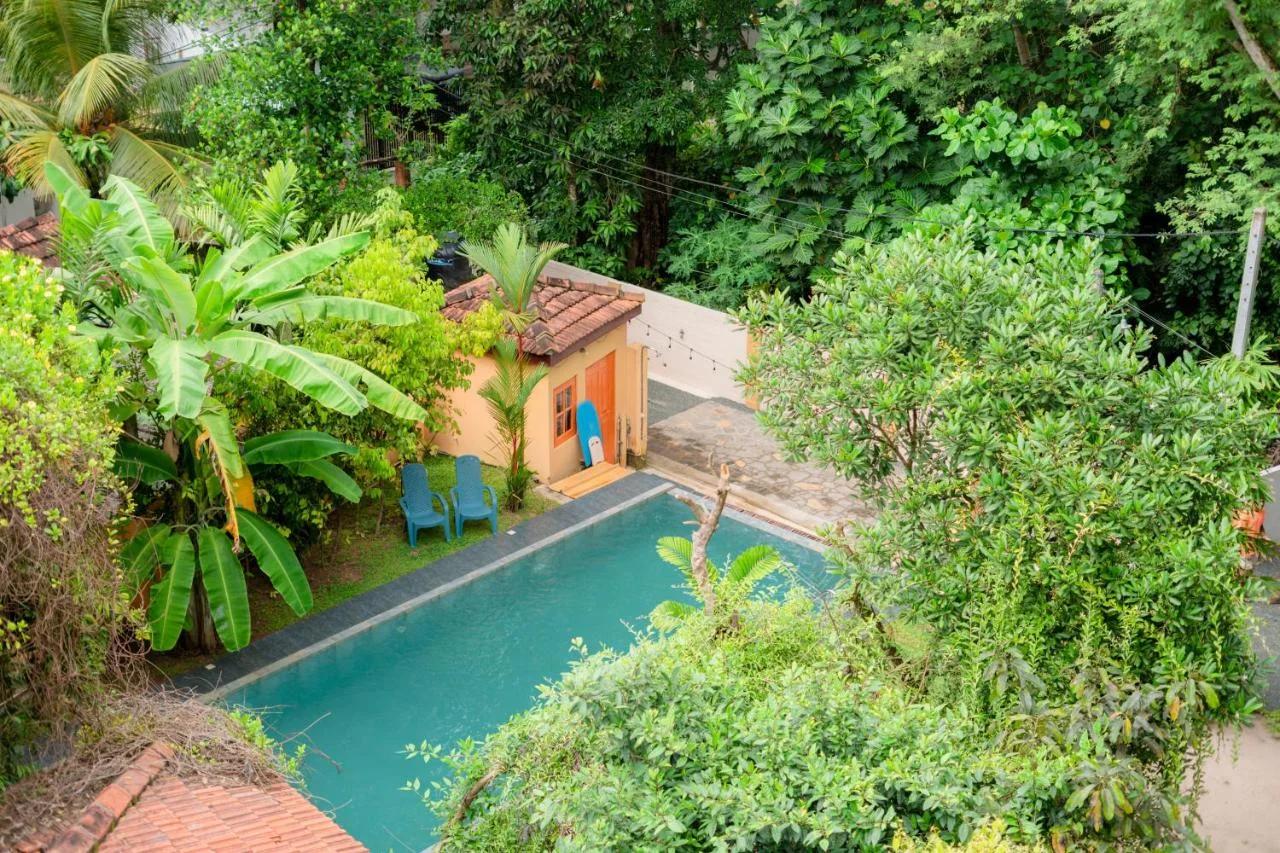 Monkey villa photo