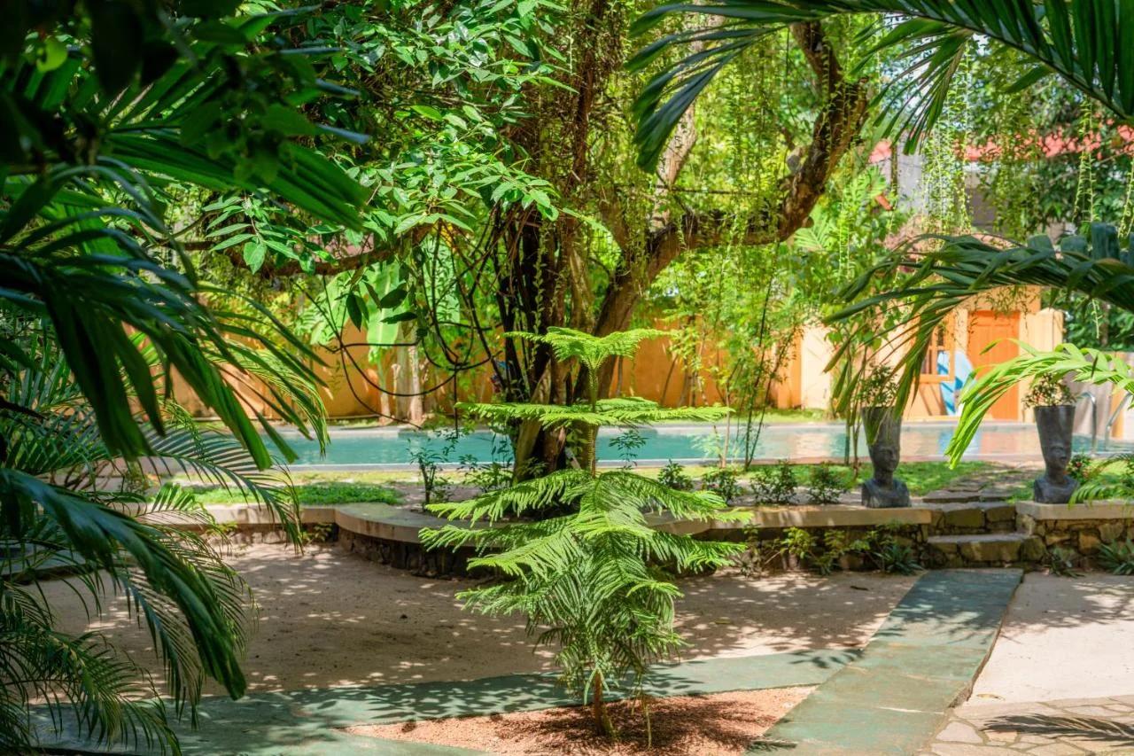 Monkey villa photo
