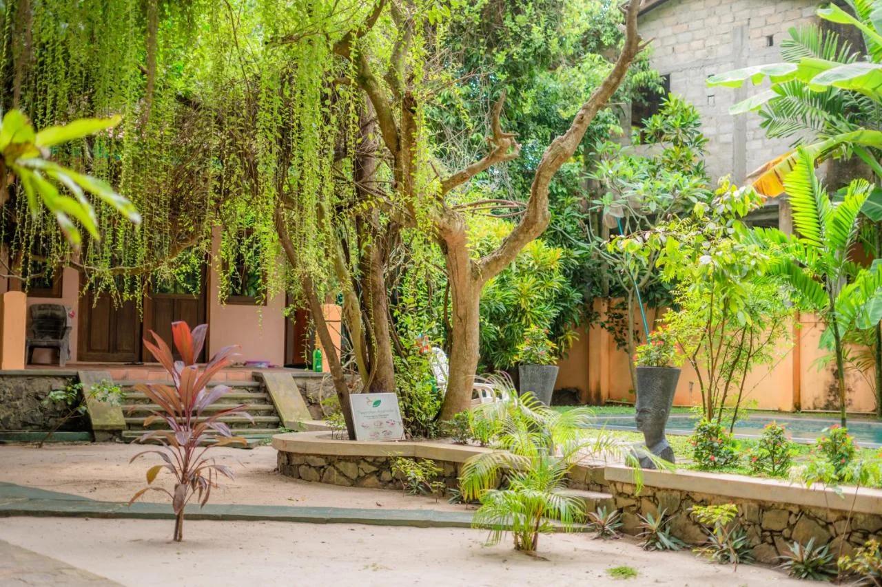 Monkey villa photo