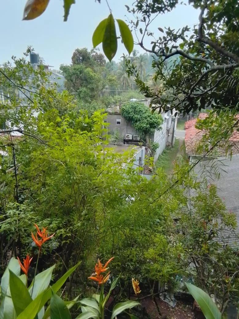 Mountain Bliss Villa photo