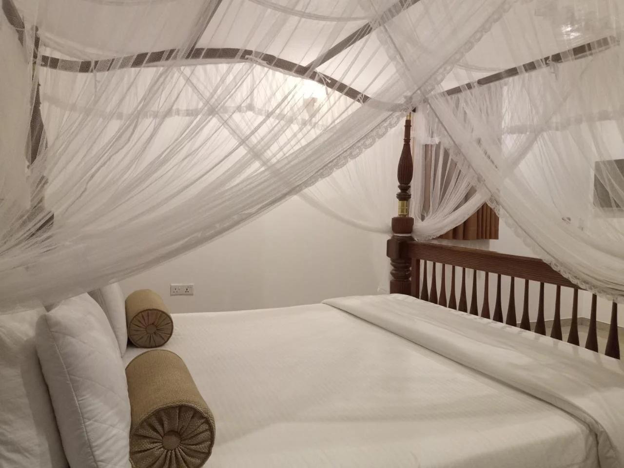 Nature villas Bentota photo