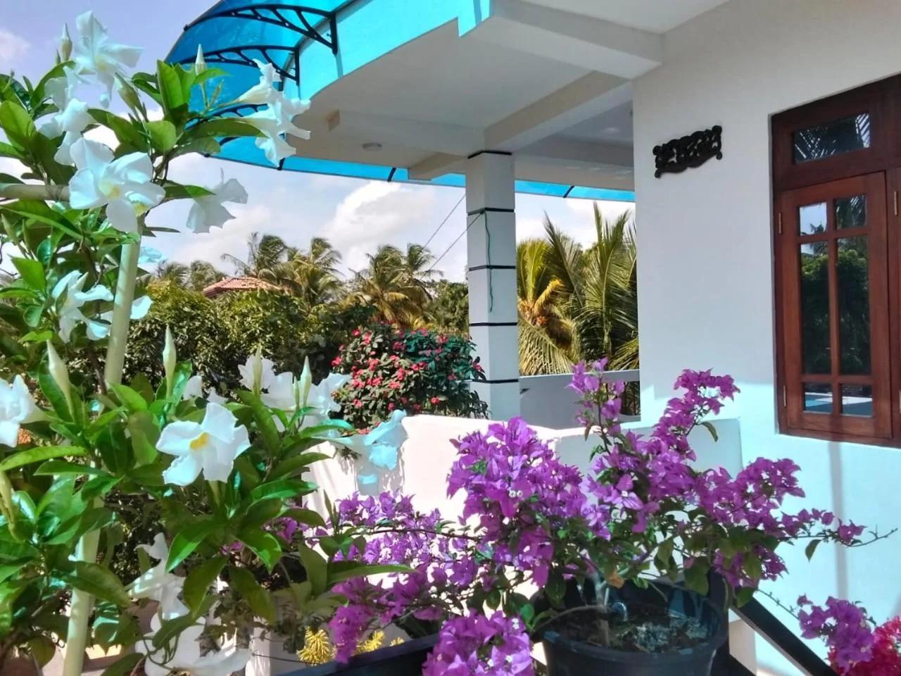 Queen Villa