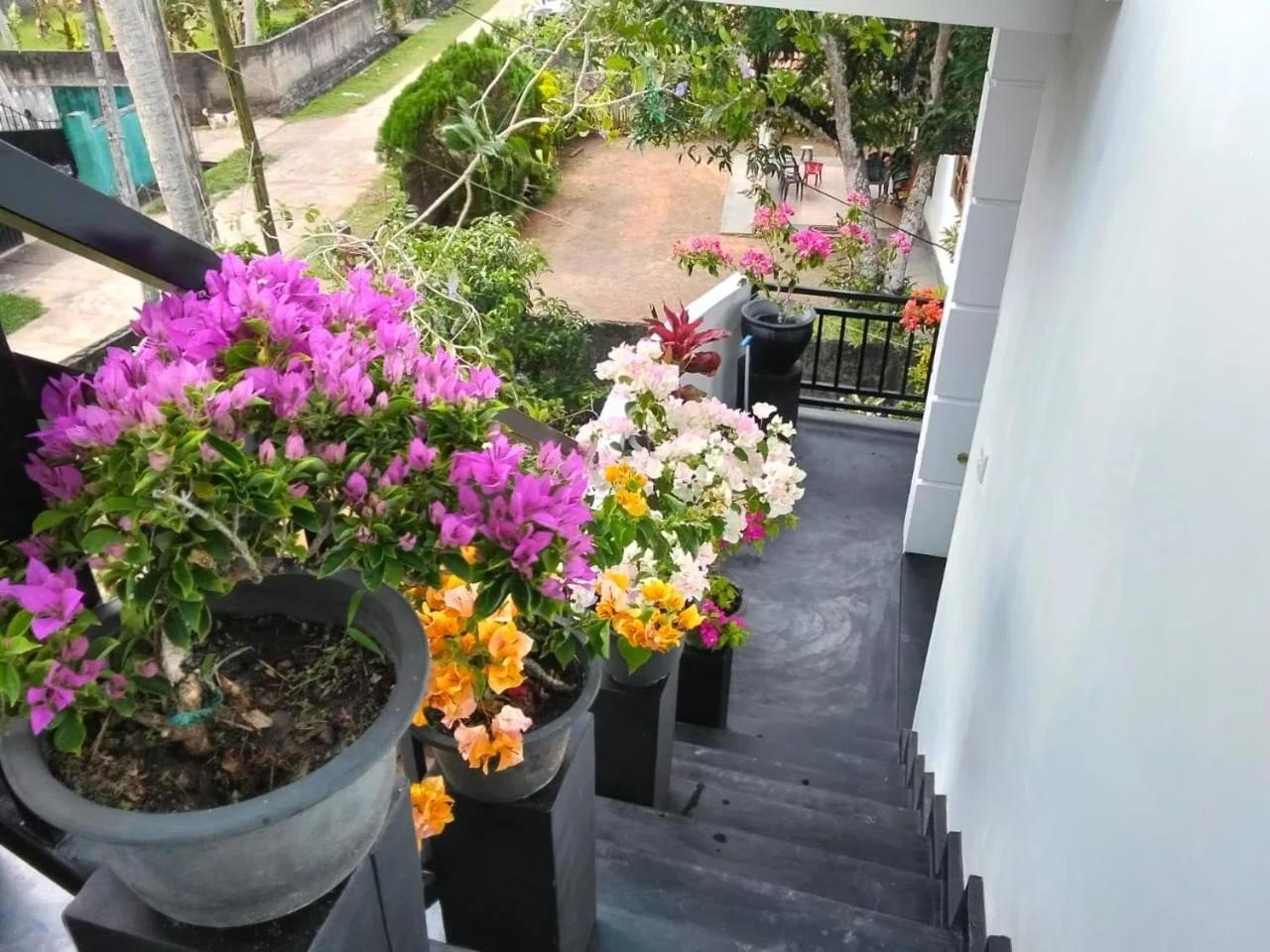 Queen Villa foto