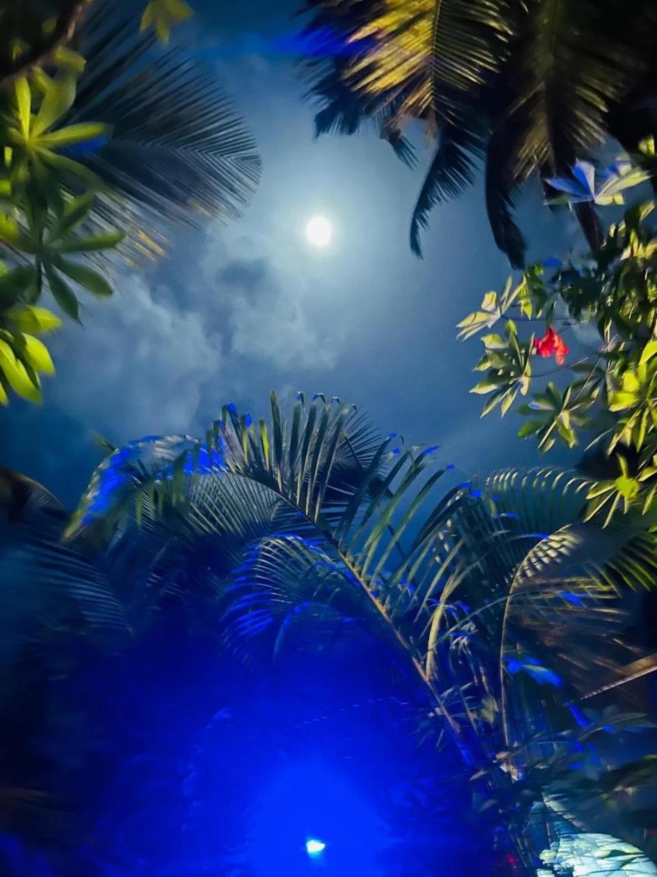 Red Coconut Villa photo