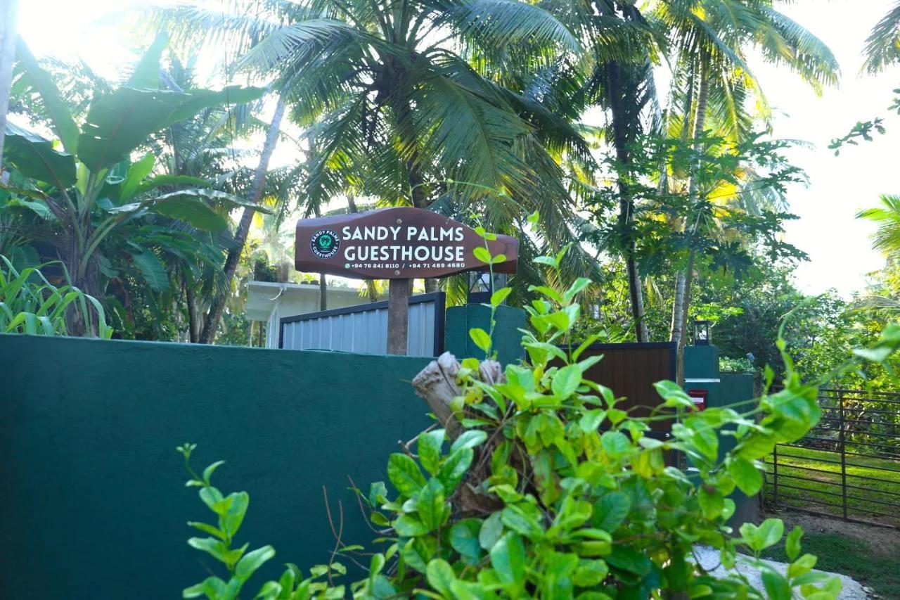 Sandy Palms Guesthouse photo