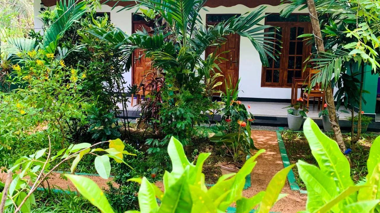 Sigiri Starwing Villa photo