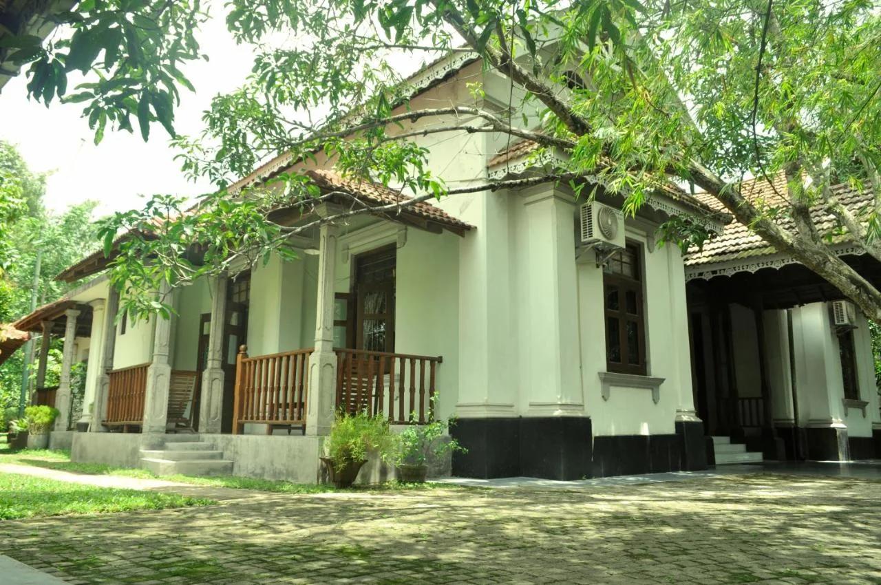 Villa 80 photo
