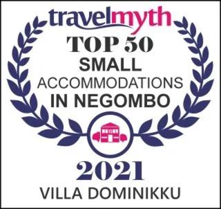 Villa Dominikku photo