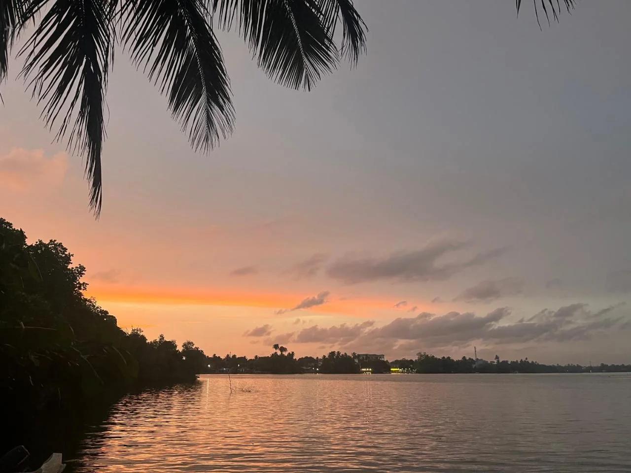 Villa Roy Bentota photo