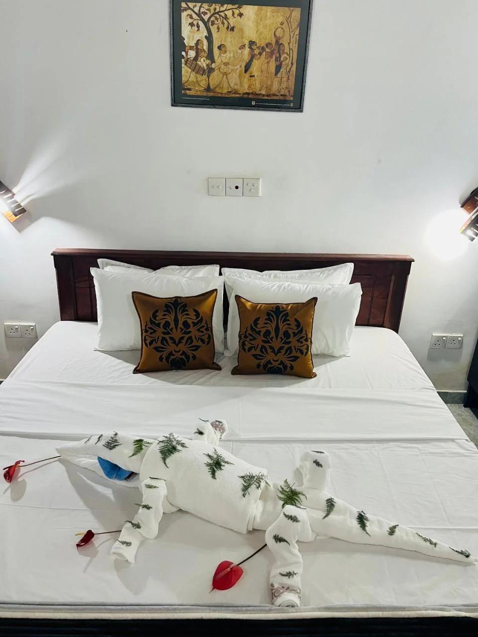 Villa Roy Bentota photo