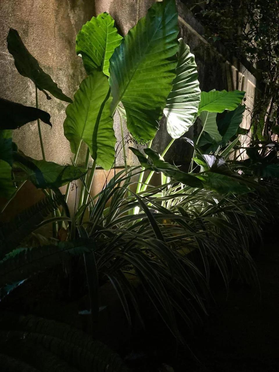 Villa Vita Unawatuna photo