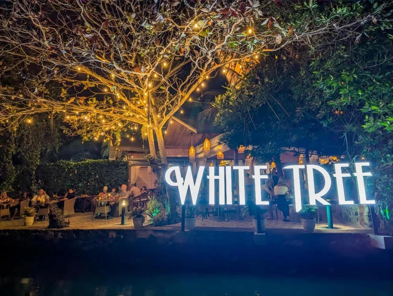 White Tree Apartment foto