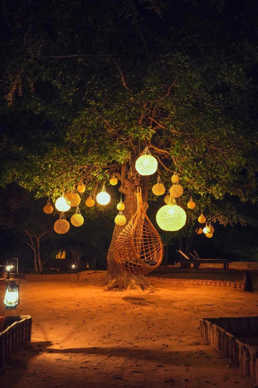 Yakaduru - Yala photo