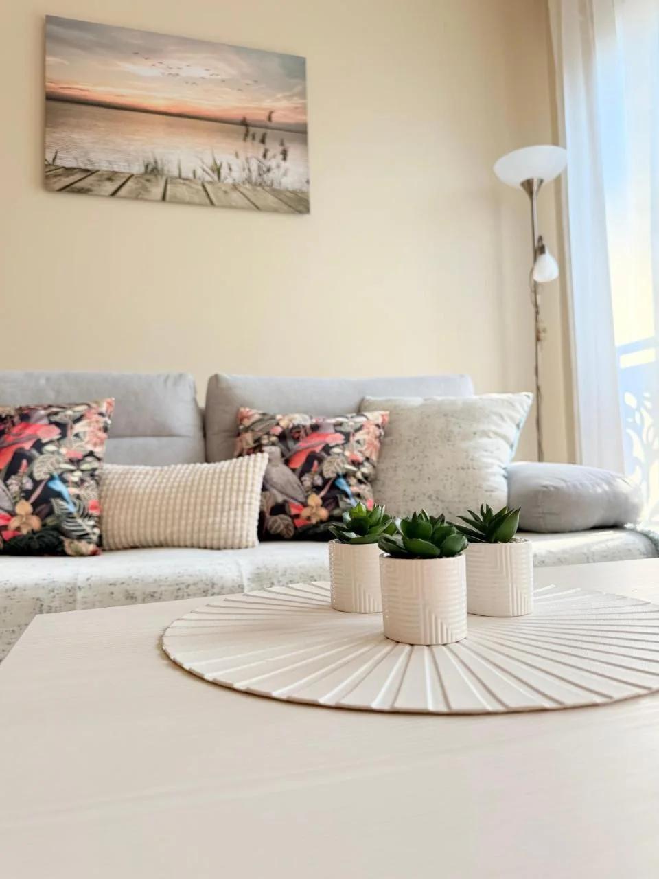Comfort apartment