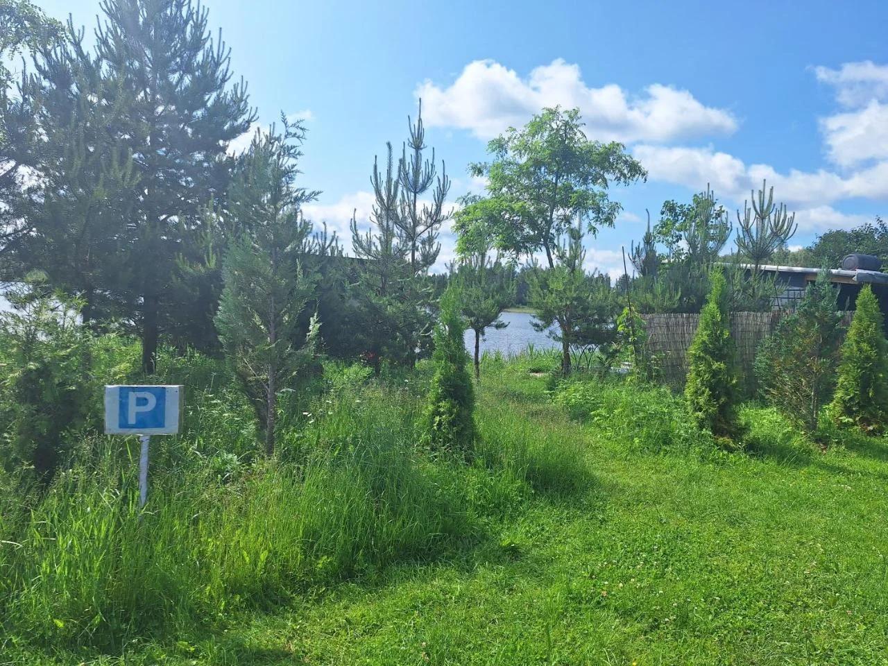 Dzintarkrasts photo