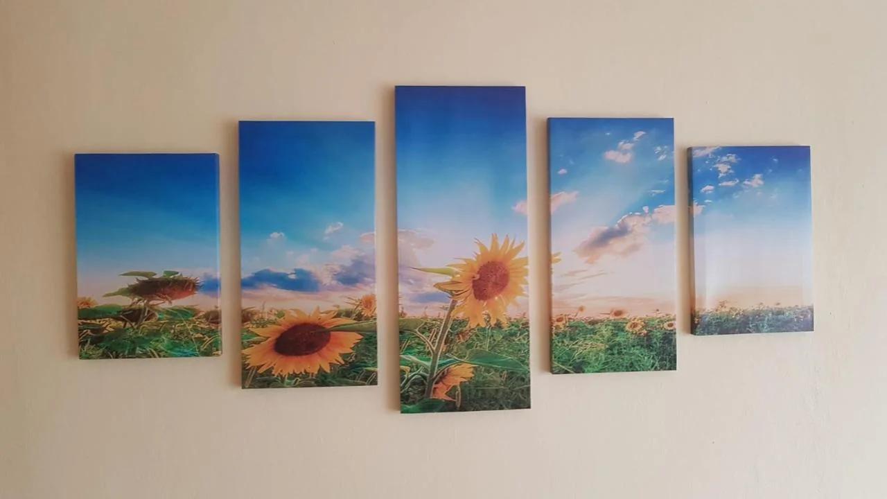 Sunflower foto