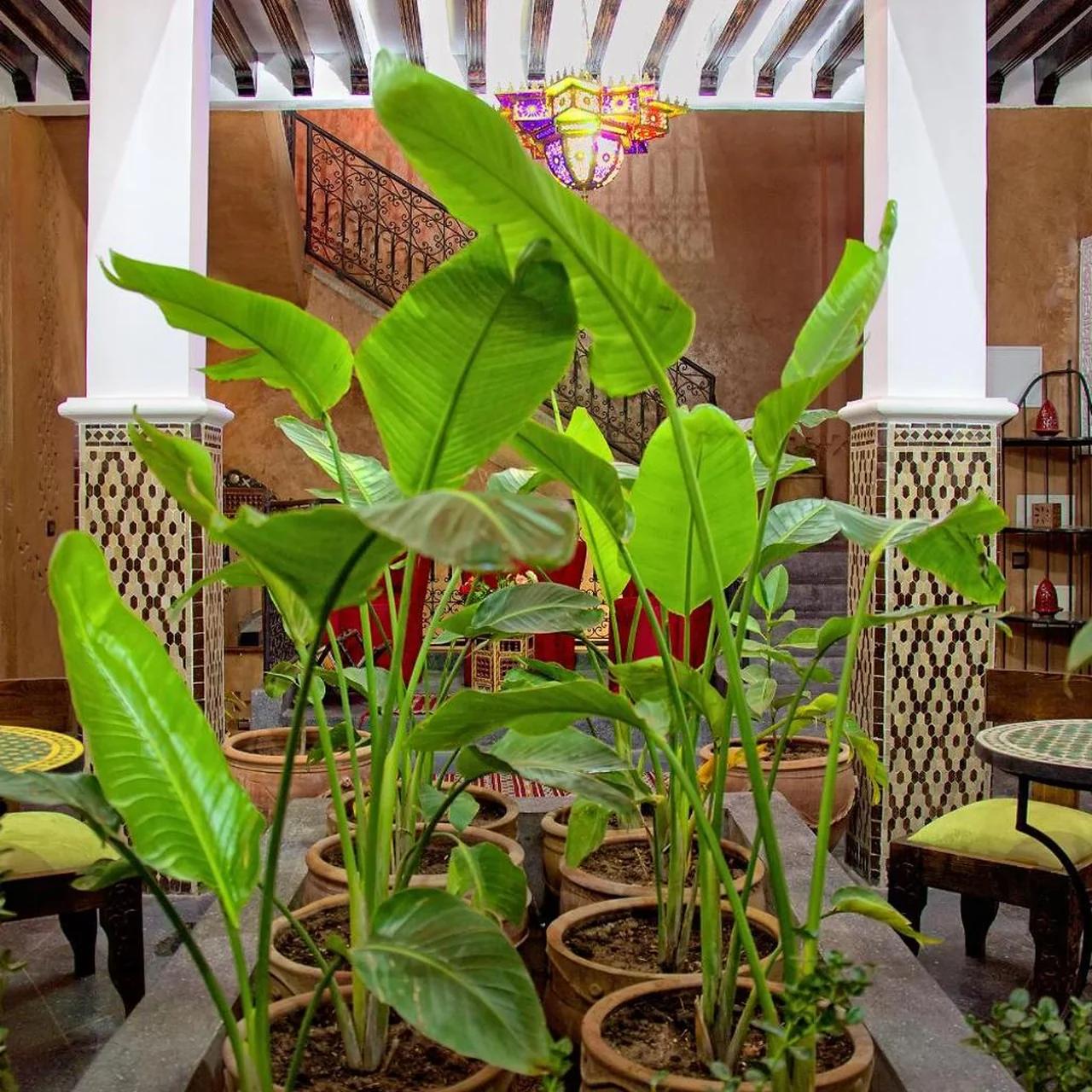 Hotel Azoul foto