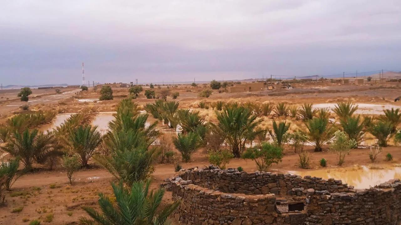 Dar Oasis Moringa photo