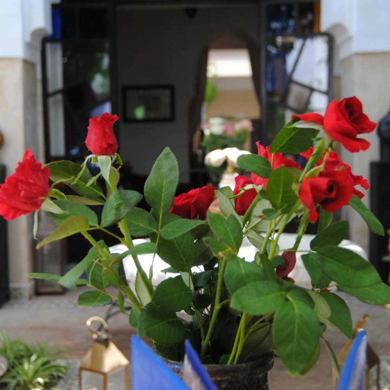Riad dar Ourika & SPA photo