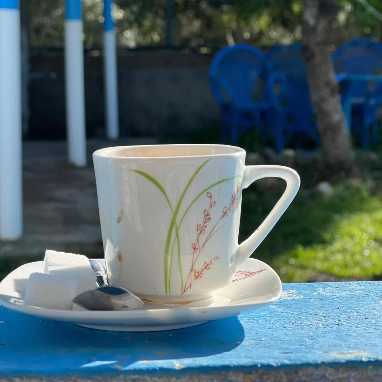 Dar zitouna foto