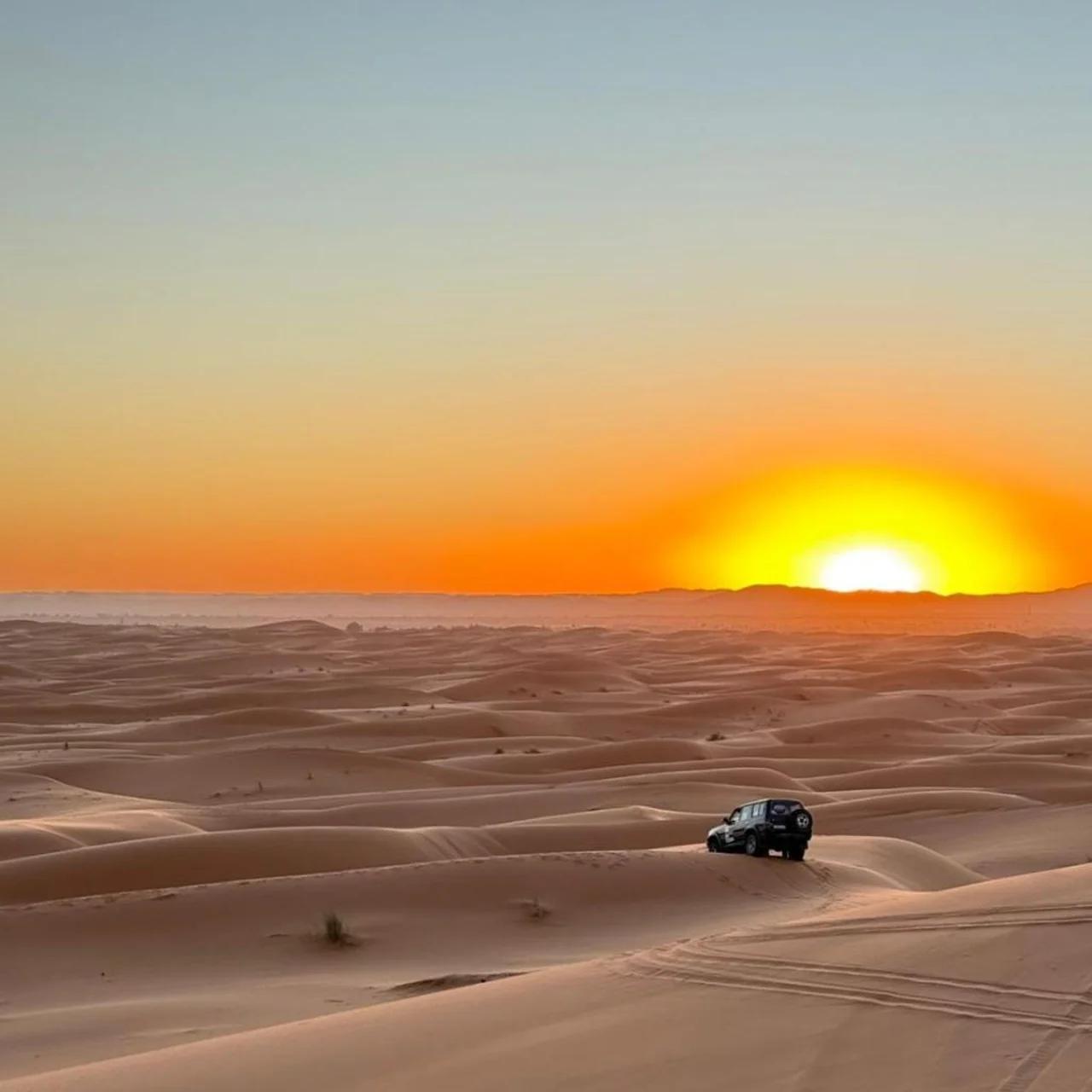 Desert Rose Camp photo
