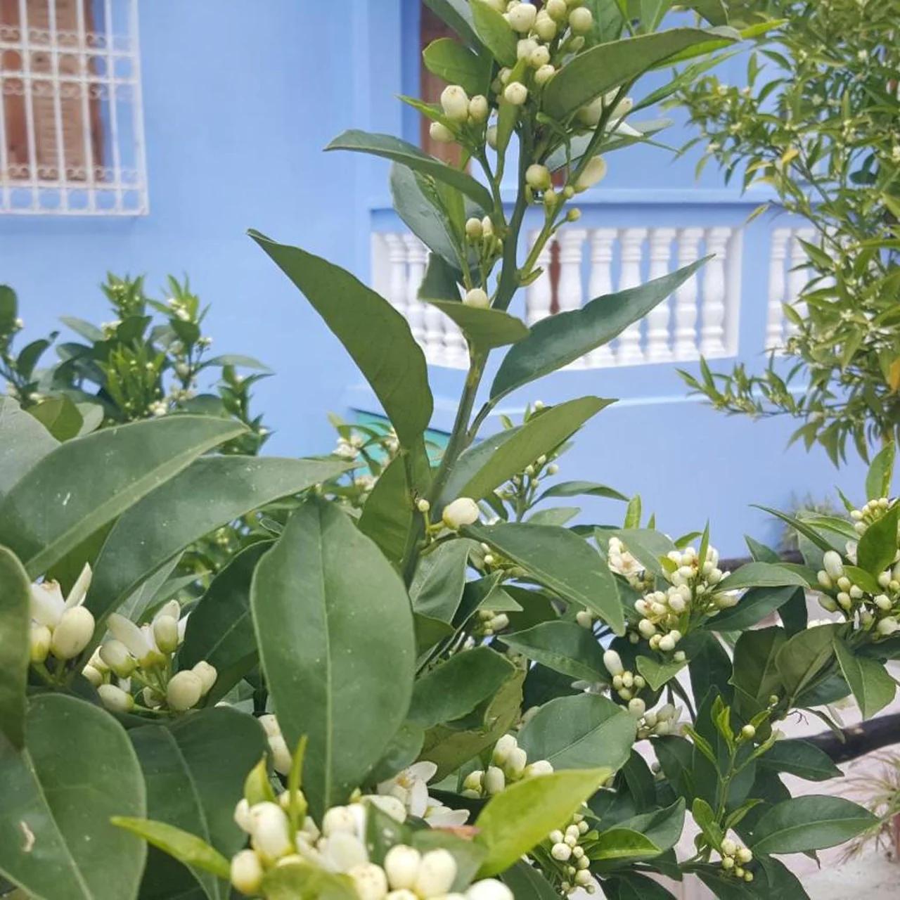 Gite Talassemtane foto