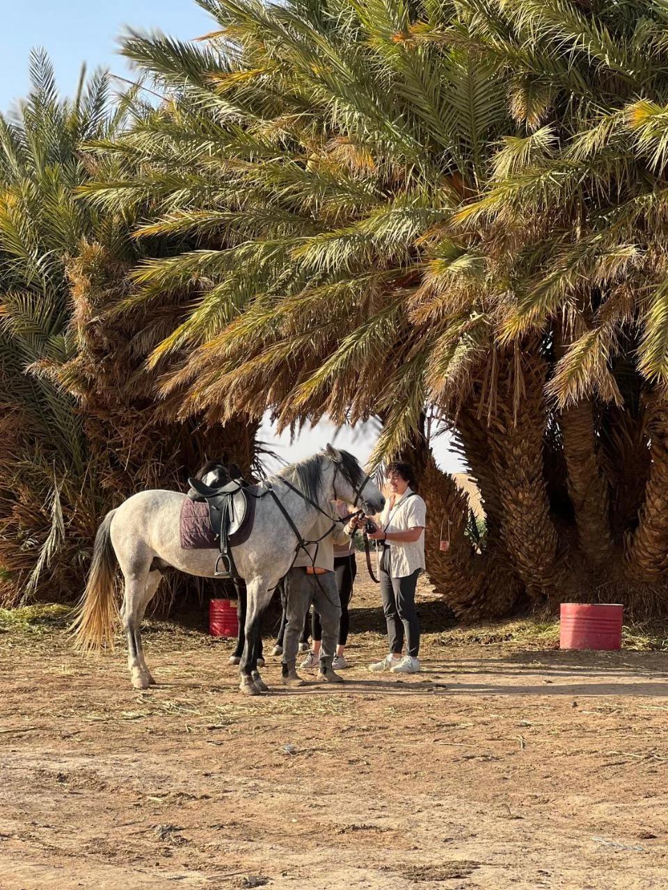Ksar Merzouga Camp photo