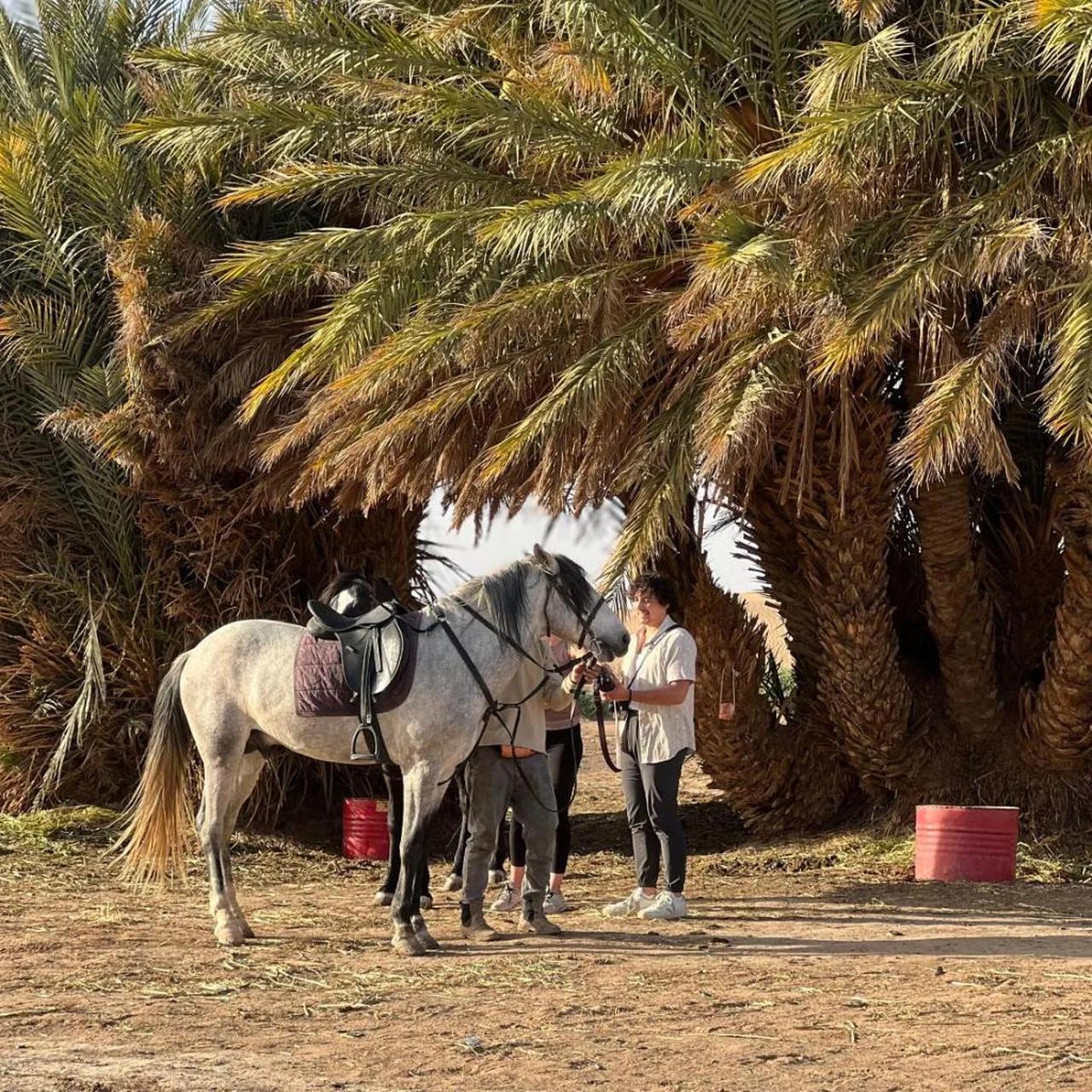 Ksar Merzouga Camp photo