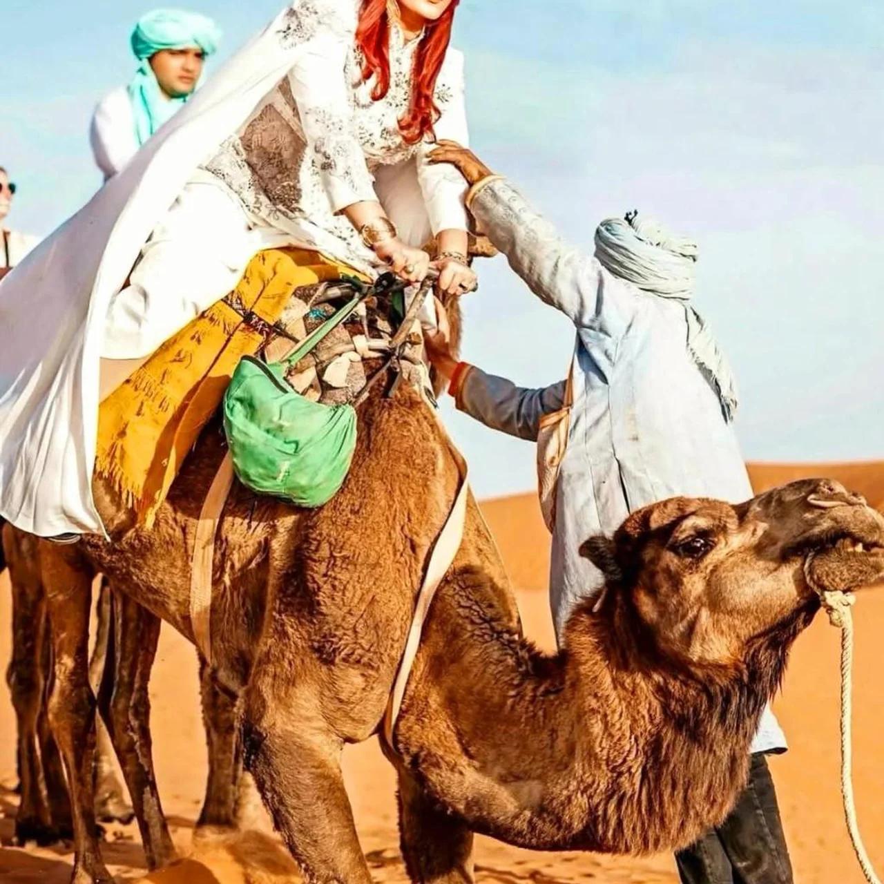 Zahra Luxury Desert Camp photo