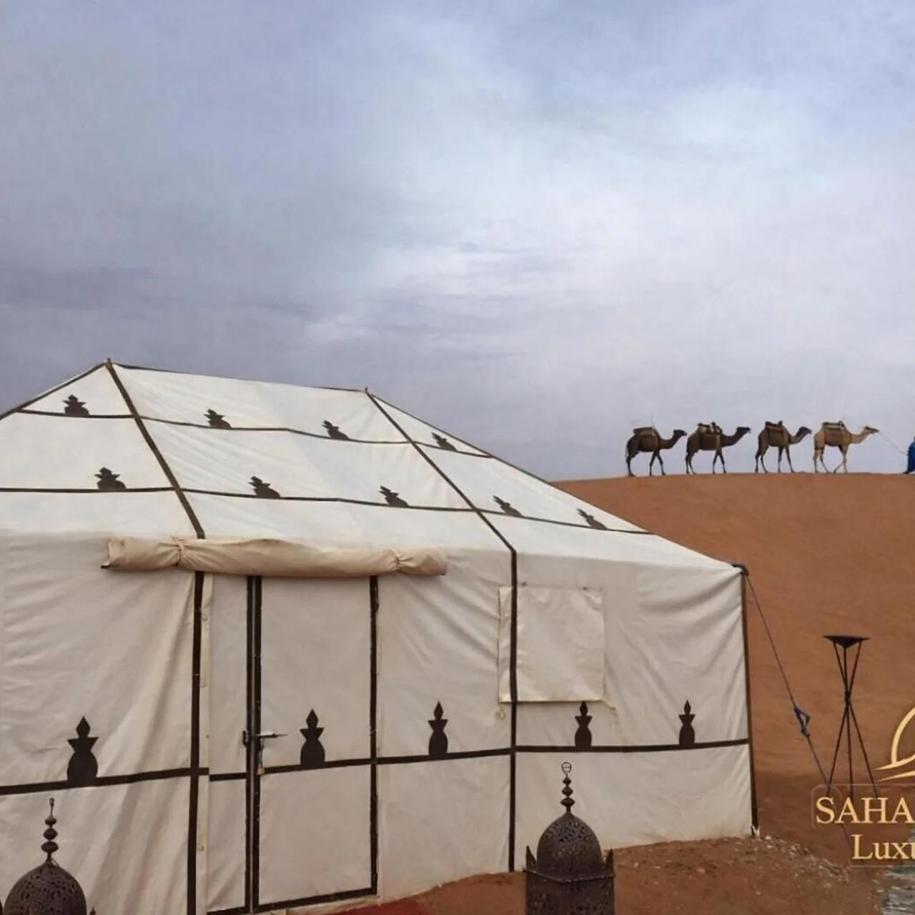 Sahara Safari Luxury Camp & Activities photo