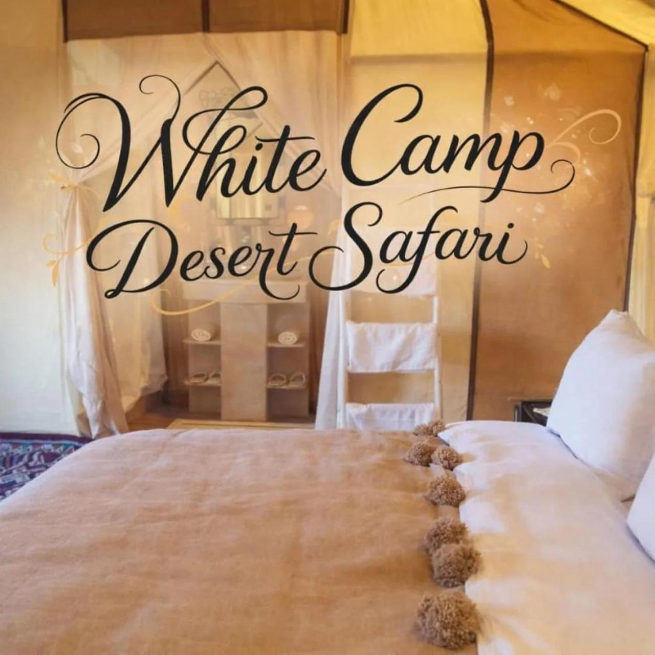 White Camp Desert Safari foto