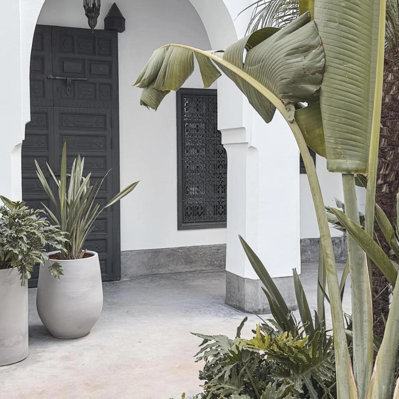 Riad Atay photo