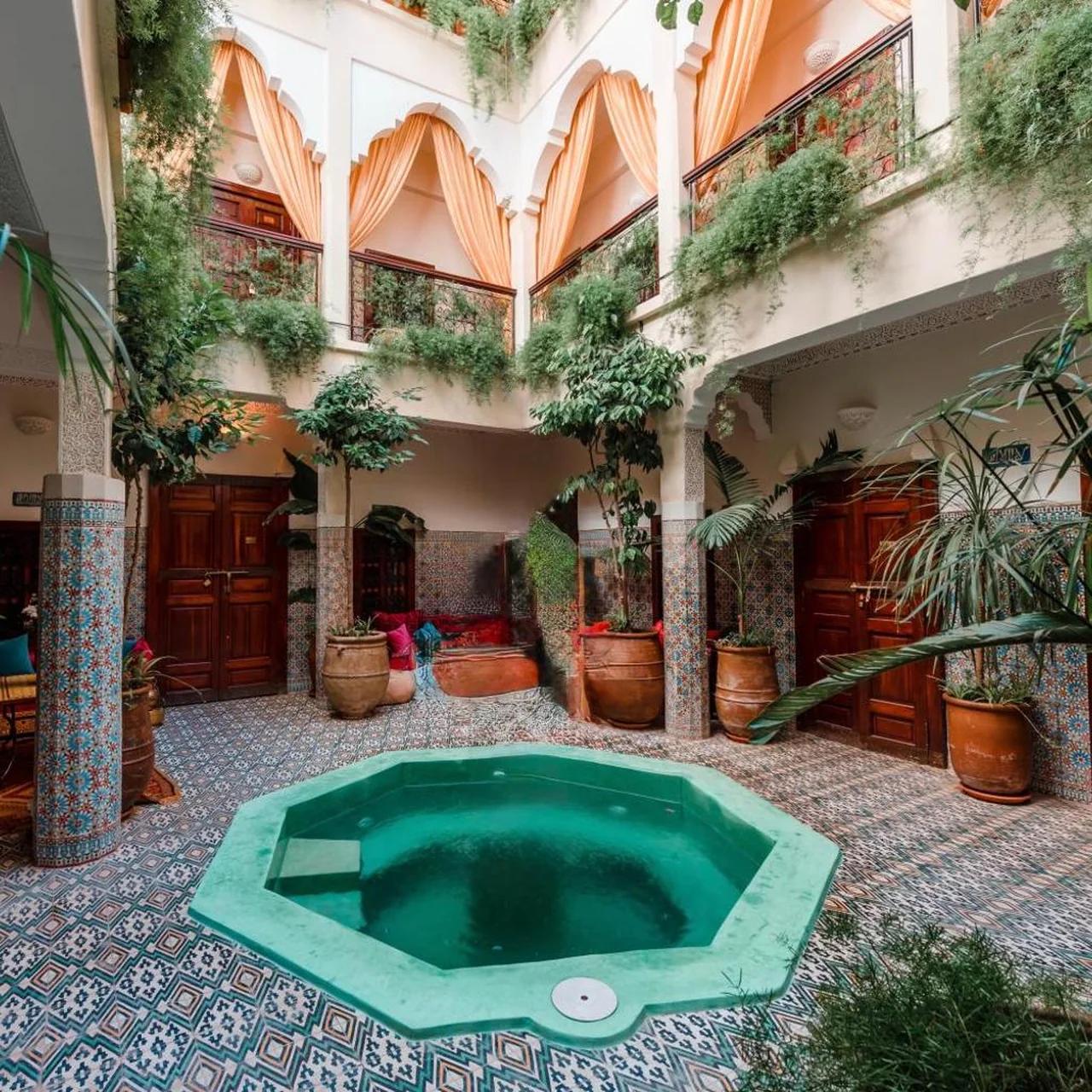 Abelia Riad - 2025 Guest Choice Award photo
