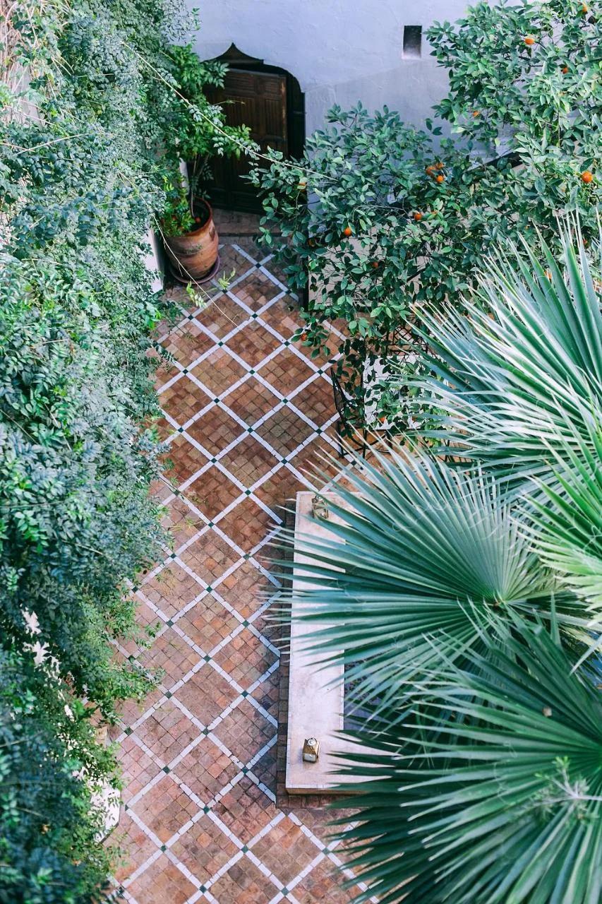 Riad Le Rihani photo