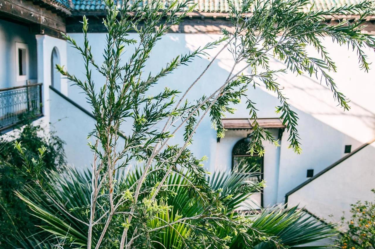 Riad Le Rihani photo