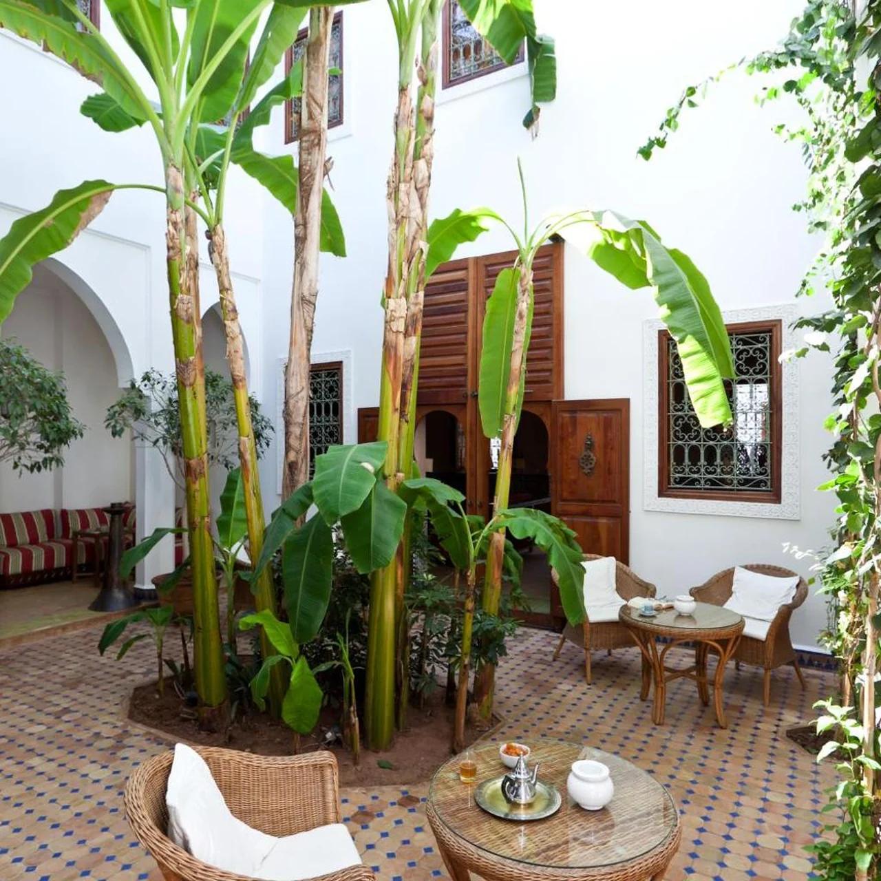 Riad Les Bougainvilliers photo