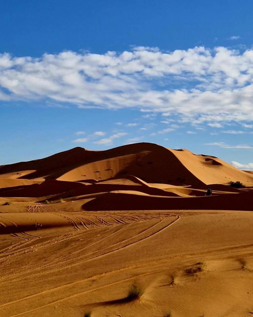Sahara Luxe Camp